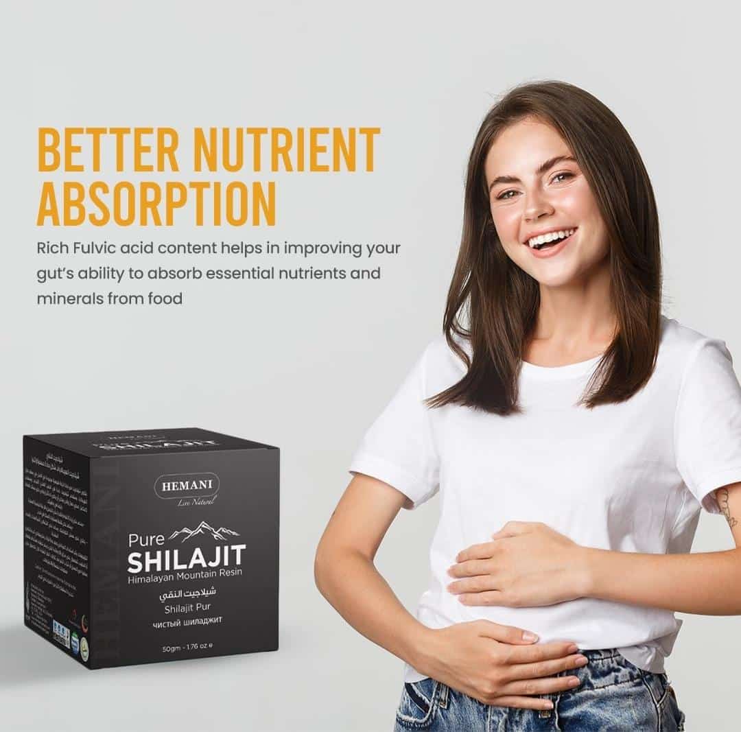 Himalayan Shilajit Resin